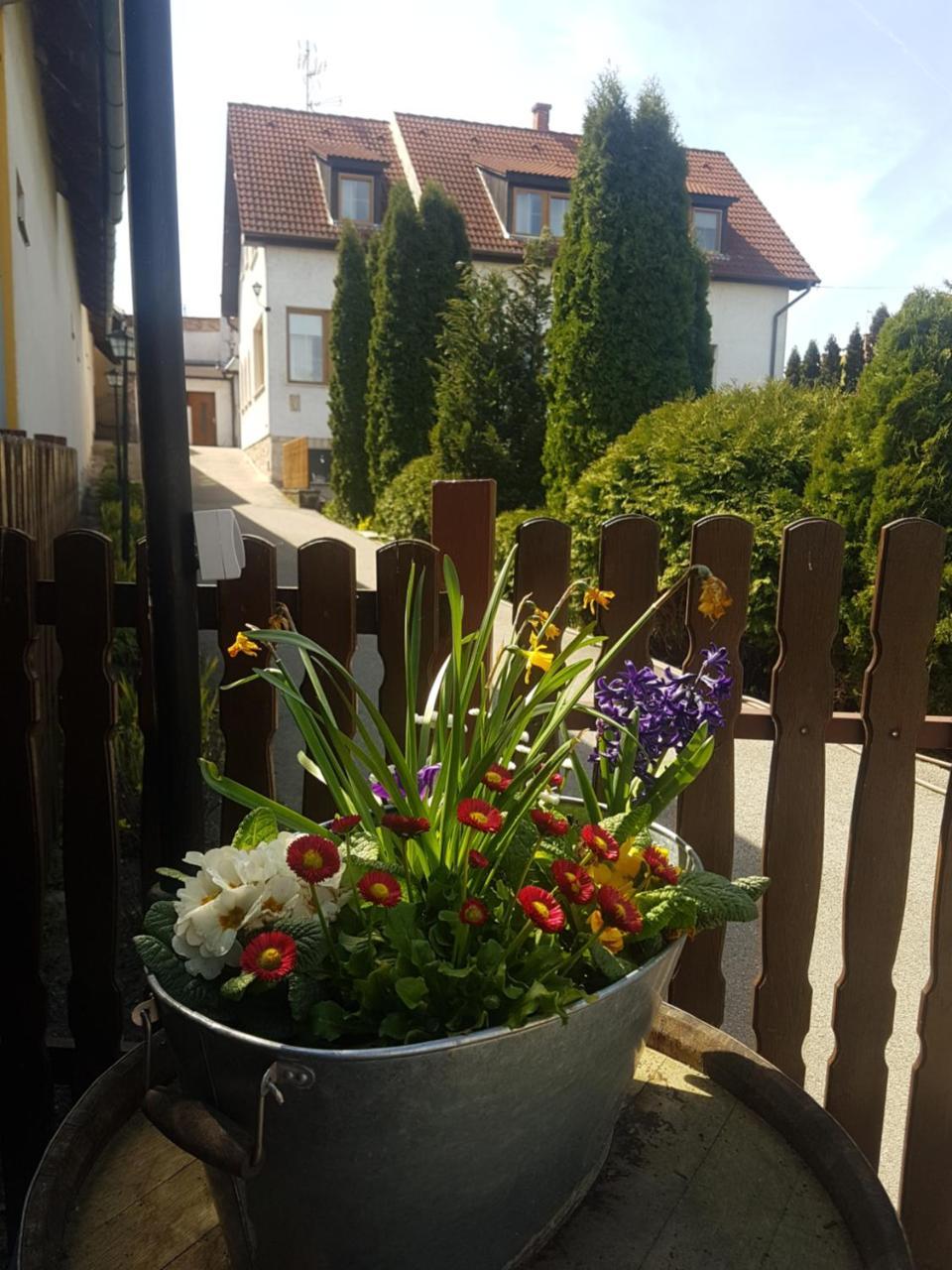 Bed and Breakfast Huber Panzió Fertőrákos Exterior foto
